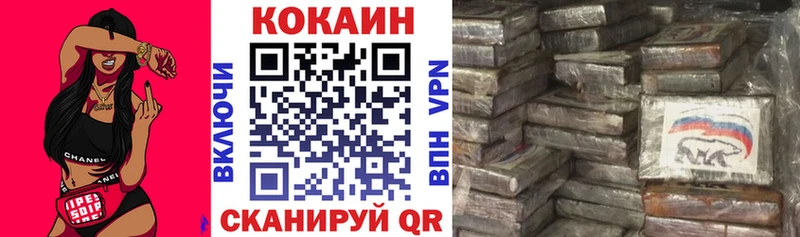 Купить закладки  Вилючинск  Cocaine Эквадор 