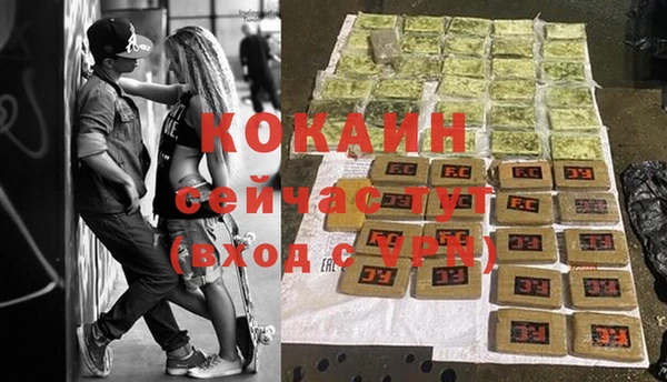 шишки Кинешма