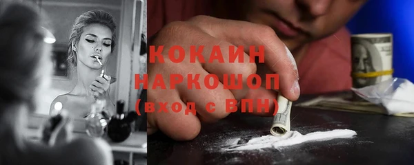 шишки Кинешма