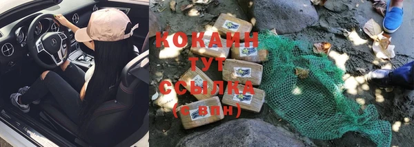 шишки Кинешма