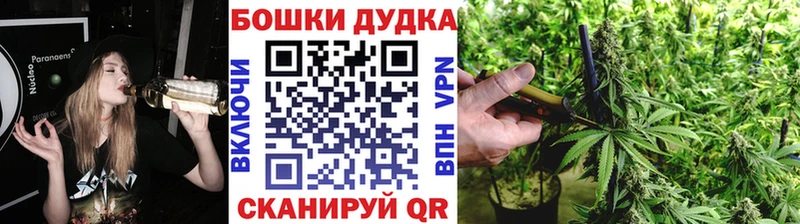 Купить закладки  Вилючинск  Каннабис SATIVA & INDICA 